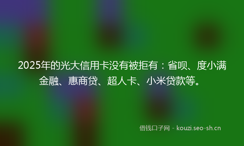2025年的光大信用卡没有被拒有：省呗、度小满金融、惠商贷、超人卡、小米贷款等。