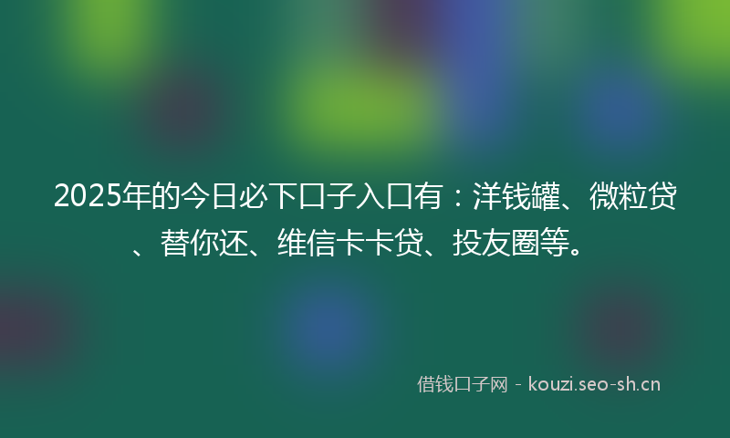 2025年的今日必下口子入口有：洋钱罐、微粒贷、替你还、维信卡卡贷、投友圈等。