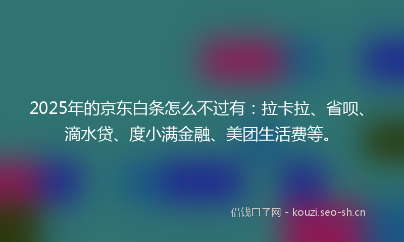 2025年的京东白条怎么不过有：拉卡拉、省呗、滴水贷、度小满金融、美团生活费等。