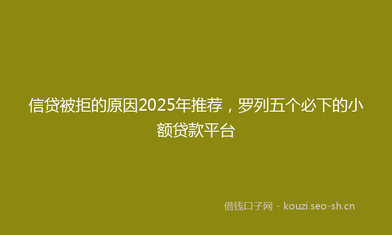 信贷被拒的原因2025年推荐，罗列五个必下的小额贷款平台