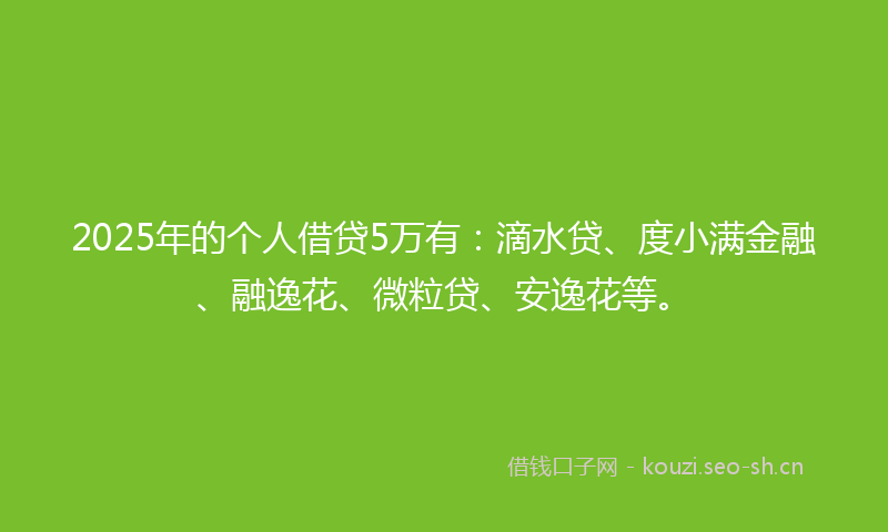 2025年的个人借贷5万有：滴水贷、度小满金融、融逸花、微粒贷、安逸花等。