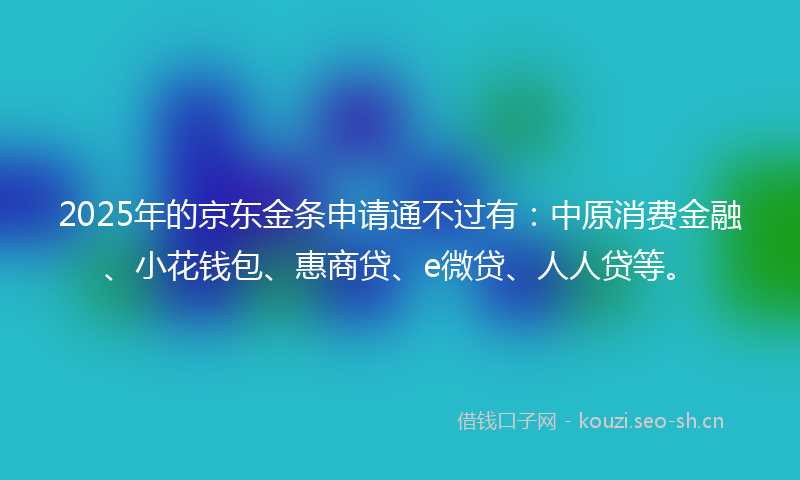 2025年的京东金条申请通不过有：中原消费金融、小花钱包、惠商贷、e微贷、人人贷等。