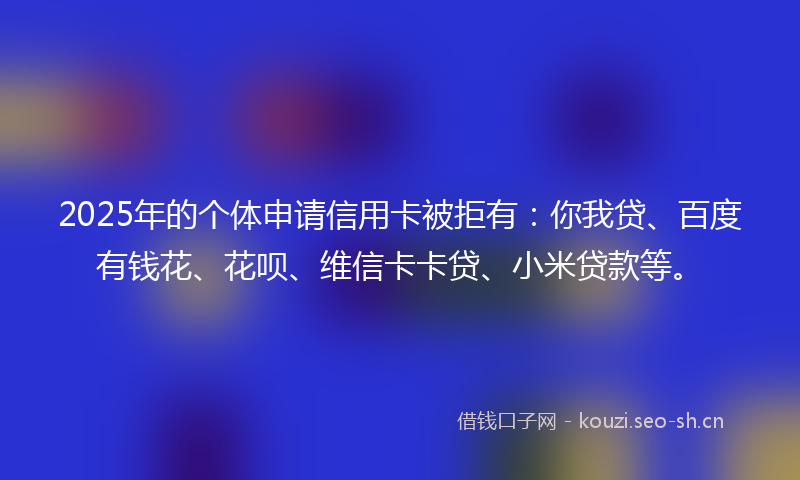 2025年的个体申请信用卡被拒有：你我贷、百度有钱花、花呗、维信卡卡贷、小米贷款等。