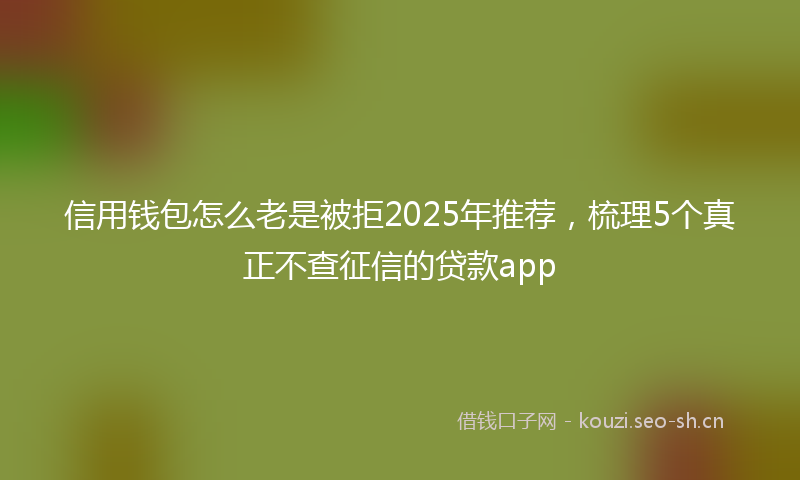 信用钱包怎么老是被拒2025年推荐,梳理5个真正不查征信的贷款app