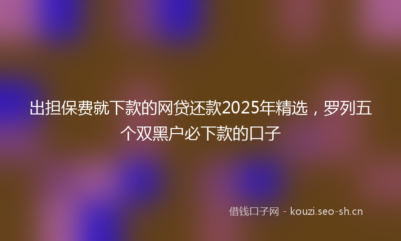 出担保费就下款的网贷还款2025年精选，罗列五个双黑户必下款的口子