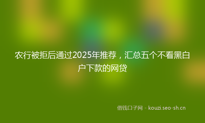 农行被拒后通过2025年推荐，汇总五个不看黑白户下款的网贷