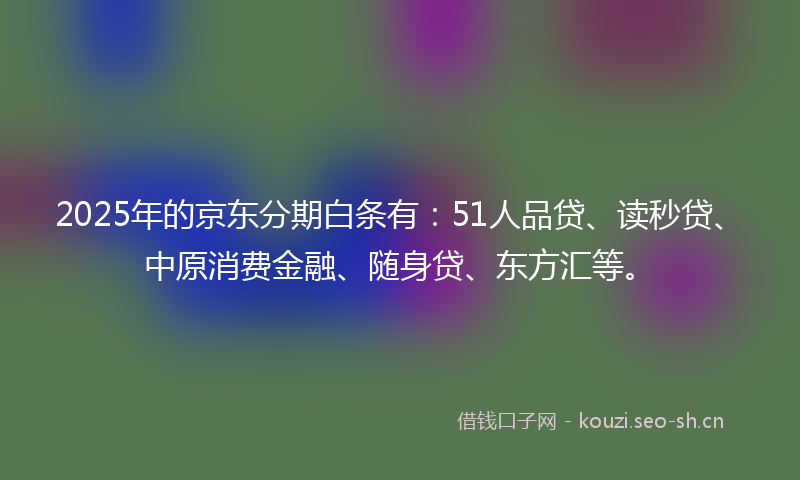 2025年的京东分期白条有：51人品贷、读秒贷、中原消费金融、随身贷、东方汇等。