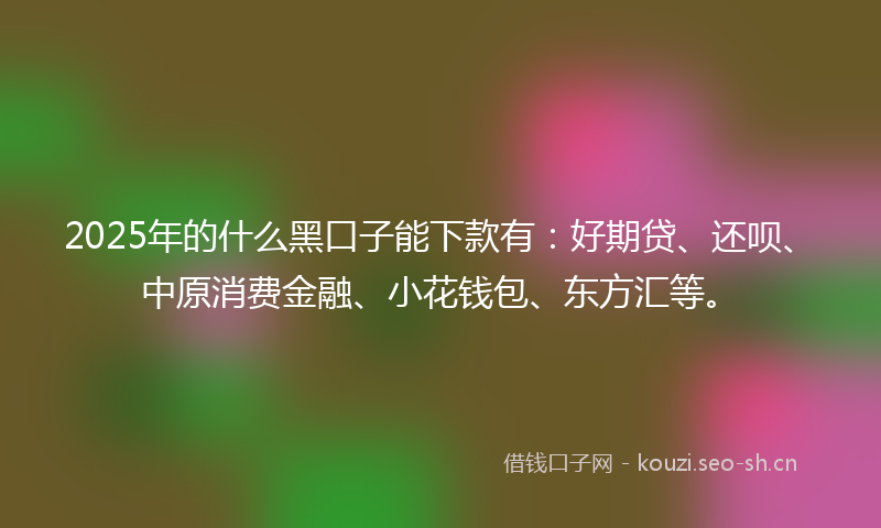 2025年的什么黑口子能下款有:好期贷、还呗、中原消费金融、小花钱包、东方汇等。