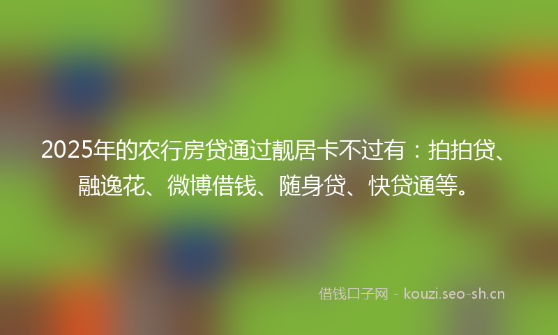 2025年的农行房贷通过靓居卡不过有：拍拍贷、融逸花、微博借钱、随身贷、快贷通等。