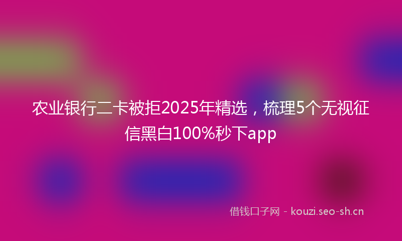 农业银行二卡被拒2025年精选,梳理5个无视征信黑白100%秒下app
