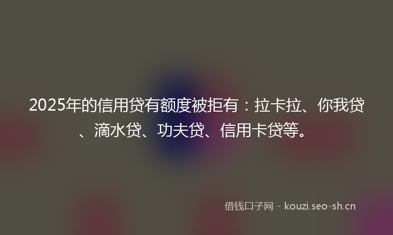2025年的信用贷有额度被拒有：拉卡拉、你我贷、滴水贷、功夫贷、信用卡贷等。