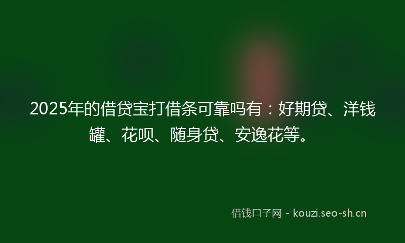 2025年的借贷宝打借条可靠吗有：好期贷、洋钱罐、花呗、随身贷、安逸花等。