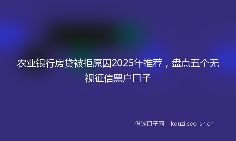 农业银行房贷被拒原因2025年推荐,盘点五个无视征信黑户口子