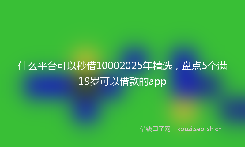 什么平台可以秒借10002025年精选，盘点5个满19岁可以借款的app