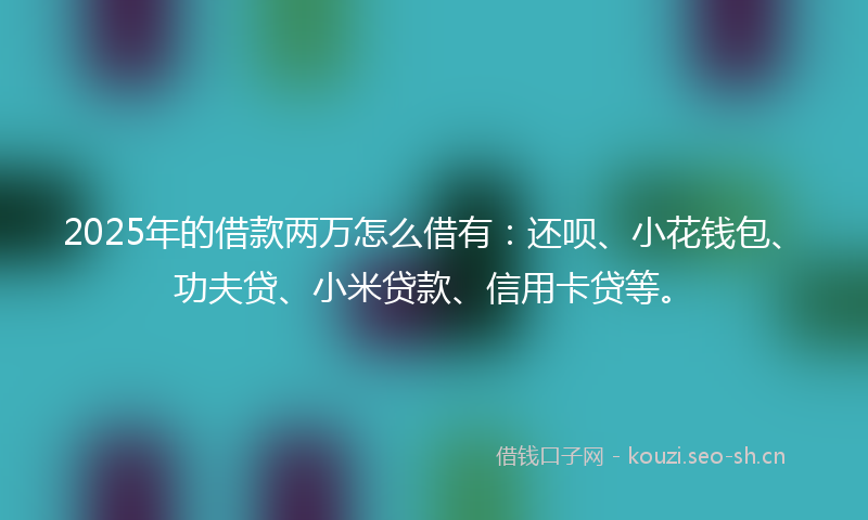 2025年的借款两万怎么借有：还呗、小花钱包、功夫贷、小米贷款、信用卡贷等。