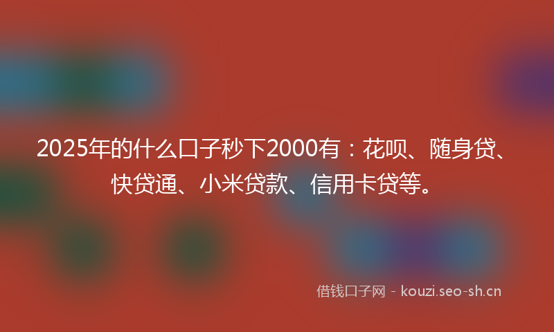 2025年的什么口子秒下2000有：花呗、随身贷、快贷通、小米贷款、信用卡贷等。
