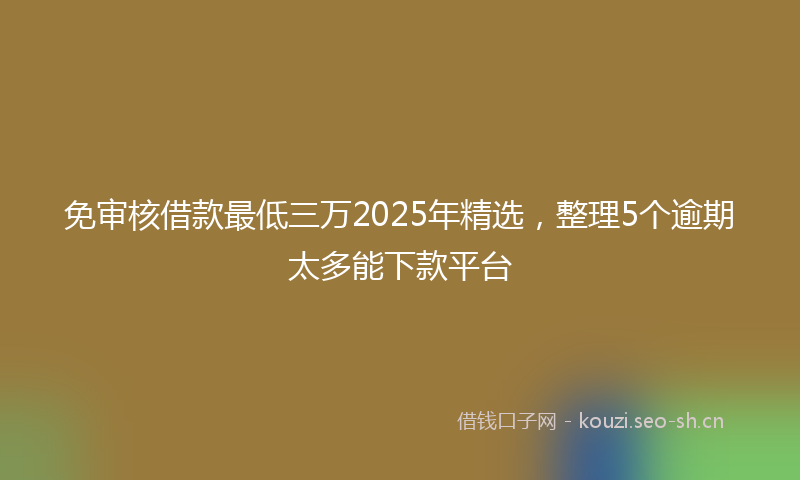 免审核借款最低三万2025年精选，整理5个逾期太多能下款平台