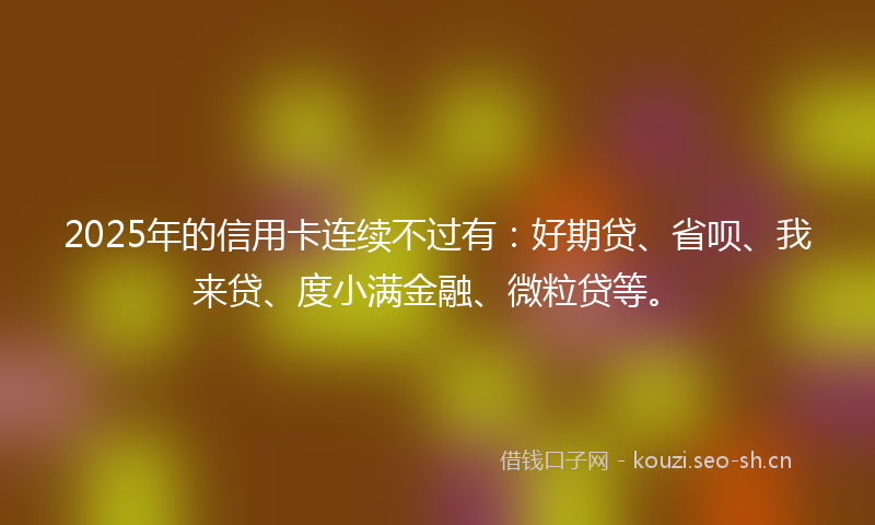 2025年的信用卡连续不过有：好期贷、省呗、我来贷、度小满金融、微粒贷等。