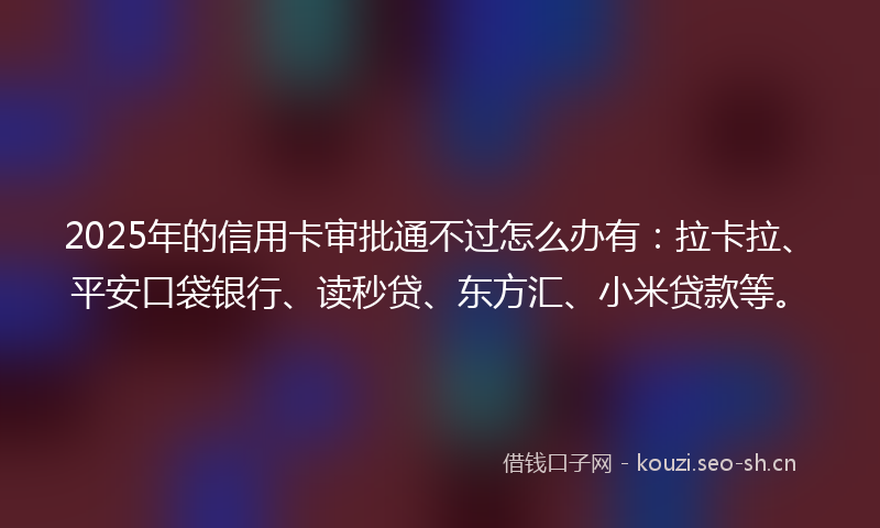 2025年的信用卡审批通不过怎么办有：拉卡拉、平安口袋银行、读秒贷、东方汇、小米贷款等。