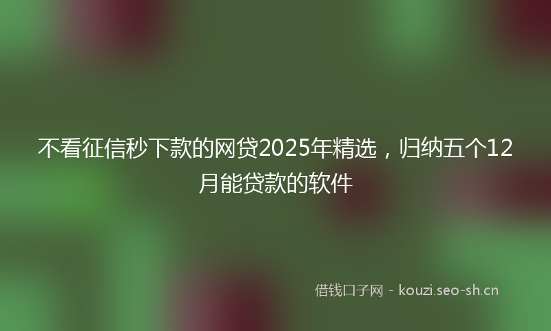 不看征信秒下款的网贷2025年精选，归纳五个12月能贷款的软件