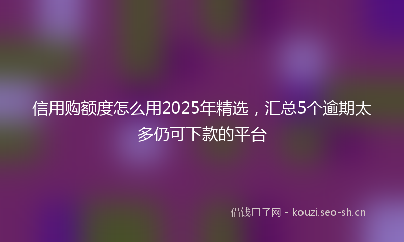 信用购额度怎么用2025年精选,汇总5个逾期太多仍可下款的平台
