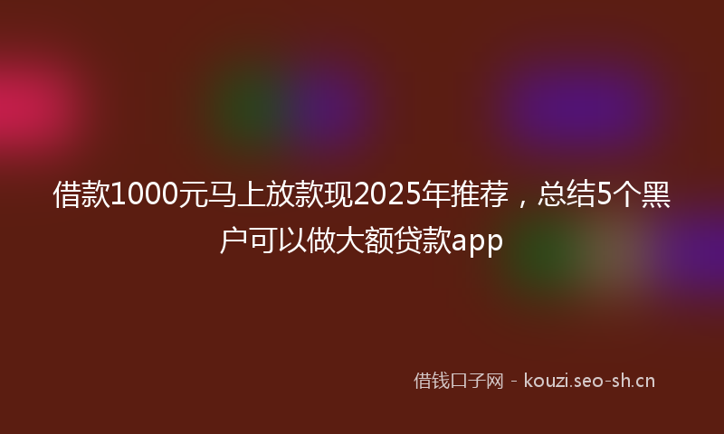 借款1000元马上放款现2025年推荐，总结5个黑户可以做大额贷款app