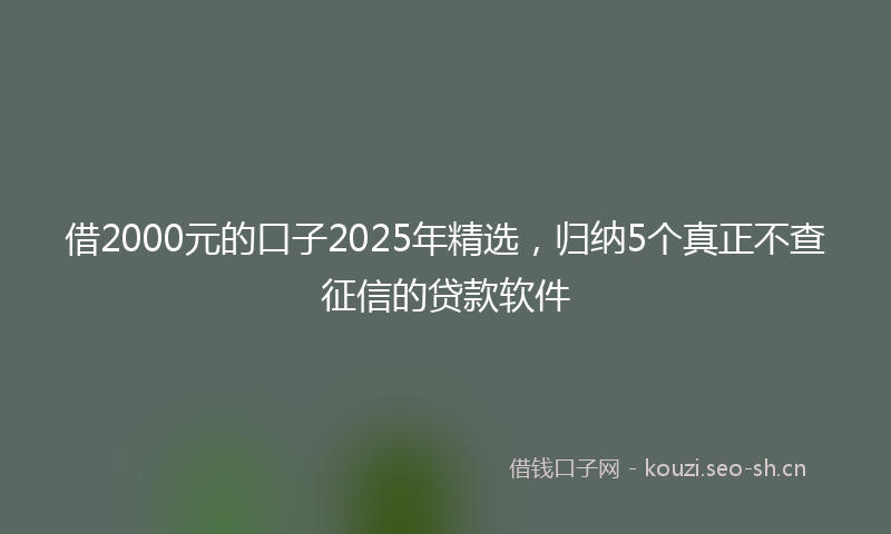 借2000元的口子2025年精选，归纳5个真正不查征信的贷款软件