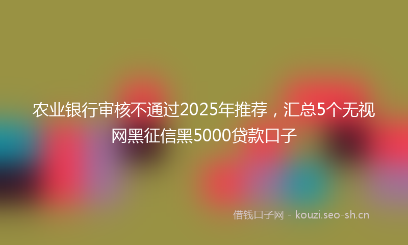 农业银行审核不通过2025年推荐,汇总5个无视网黑征信黑5000贷款口子