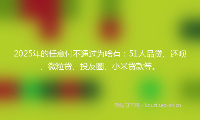 2025年的任意付不通过为啥有：51人品贷、还呗、微粒贷、投友圈、小米贷款等。
