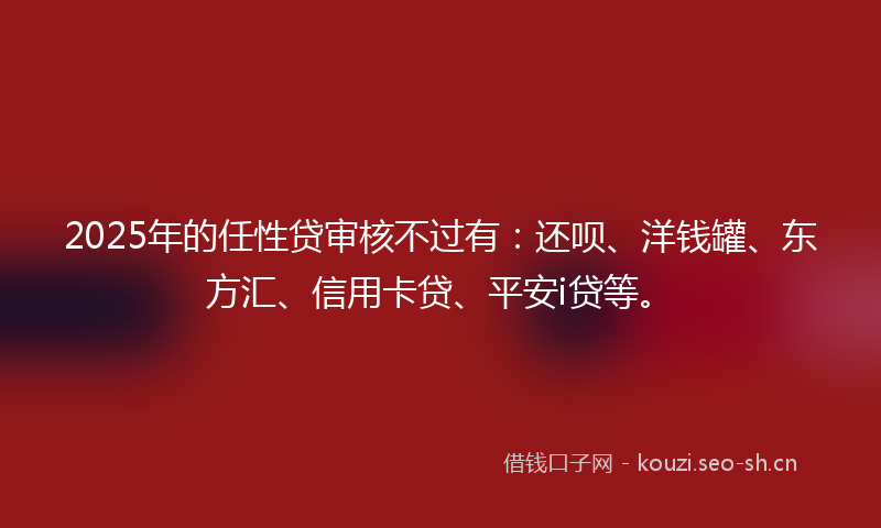 2025年的任性贷审核不过有：还呗、洋钱罐、东方汇、信用卡贷、平安i贷等。