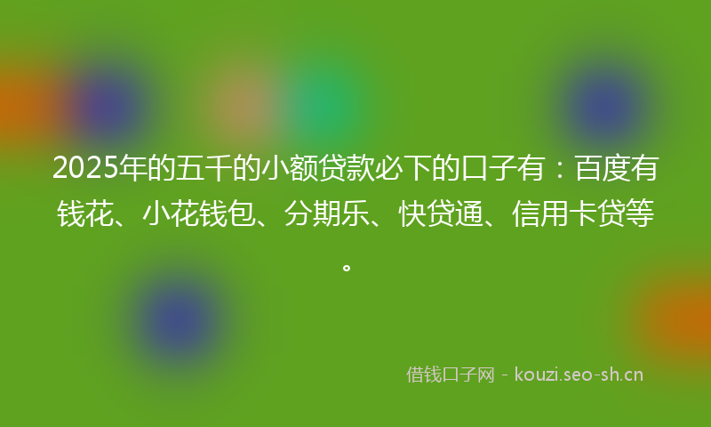 2025年的五千的小额贷款必下的口子有：百度有钱花、小花钱包、分期乐、快贷通、信用卡贷等。