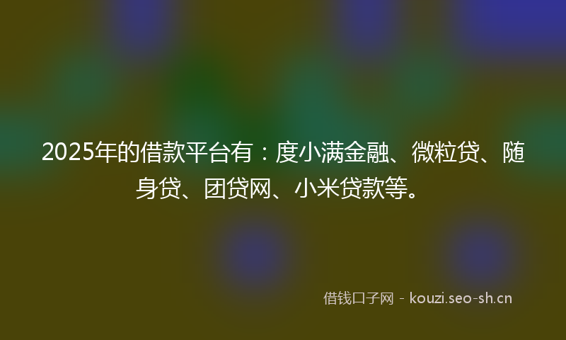 2025年的借款平台有：度小满金融、微粒贷、随身贷、团贷网、小米贷款等。