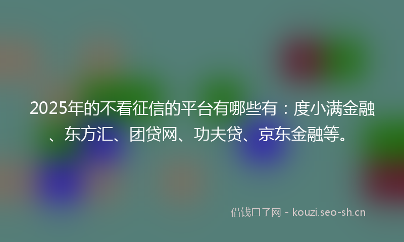 2025年的不看征信的平台有哪些有：度小满金融、东方汇、团贷网、功夫贷、京东金融等。