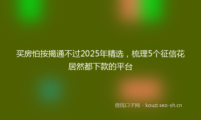 买房怕按揭通不过2025年精选，梳理5个征信花居然都下款的平台