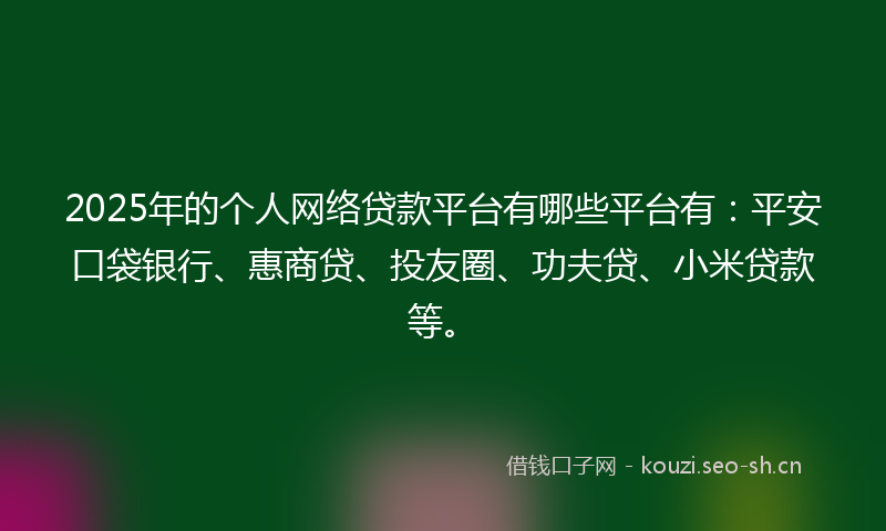2025年的个人网络贷款平台有哪些平台有：平安口袋银行、惠商贷、投友圈、功夫贷、小米贷款等。