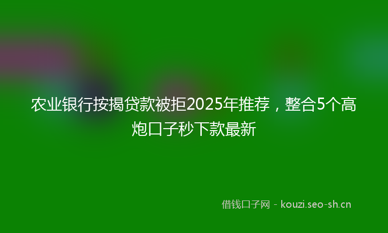 农业银行按揭贷款被拒2025年推荐,整合5个高炮口子秒下款最新
