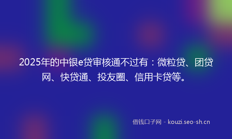 2025年的中银e贷审核通不过有：微粒贷、团贷网、快贷通、投友圈、信用卡贷等。