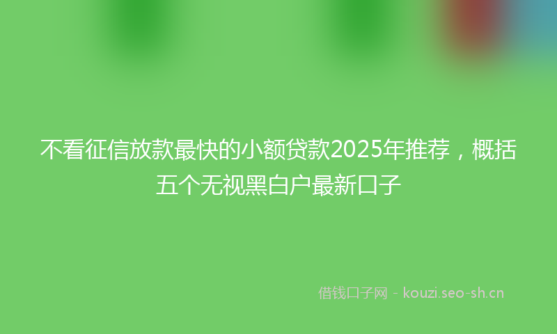 不看征信放款最快的小额贷款2025年推荐,概括五个无视黑白户最新口子