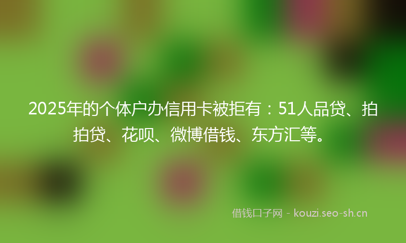 2025年的个体户办信用卡被拒有：51人品贷、拍拍贷、花呗、微博借钱、东方汇等。