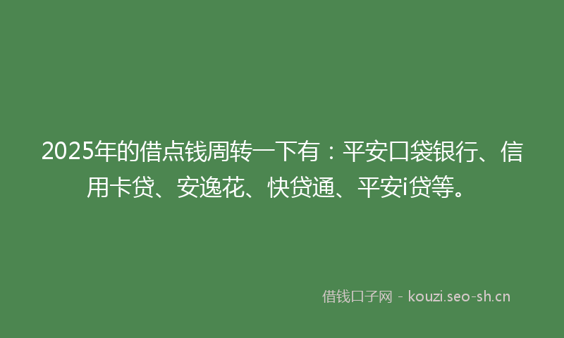 2025年的借点钱周转一下有：平安口袋银行、信用卡贷、安逸花、快贷通、平安i贷等。