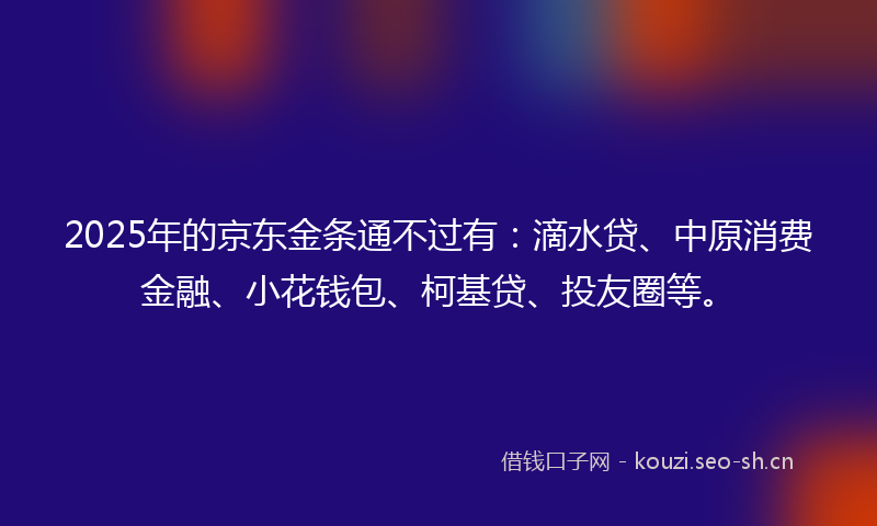2025年的京东金条通不过有：滴水贷、中原消费金融、小花钱包、柯基贷、投友圈等。