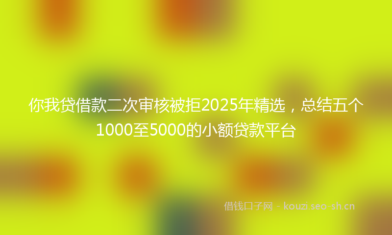 你我贷借款二次审核被拒2025年精选，总结五个1000至5000的小额贷款平台