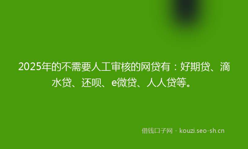 2025年的不需要人工审核的网贷有：好期贷、滴水贷、还呗、e微贷、人人贷等。