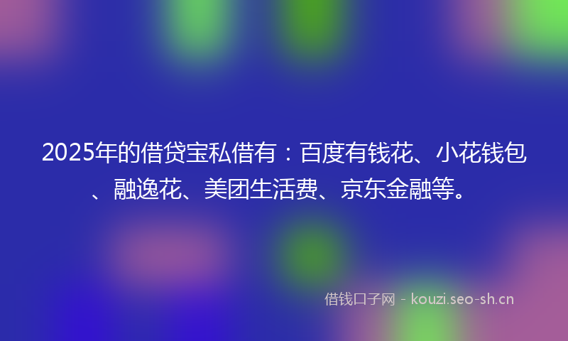 2025年的借贷宝私借有:百度有钱花、小花钱包、融逸花、美团生活费、京东金融等。