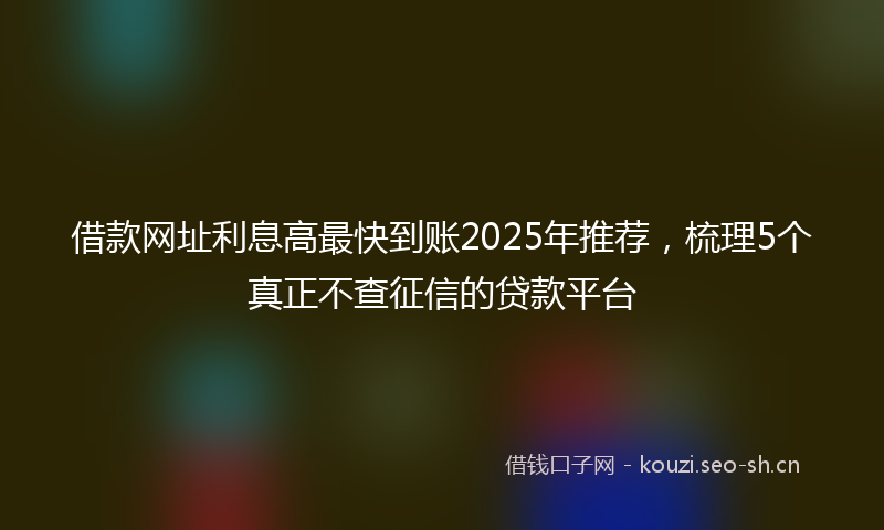借款网址利息高最快到账2025年推荐,梳理5个真正不查征信的贷款平台