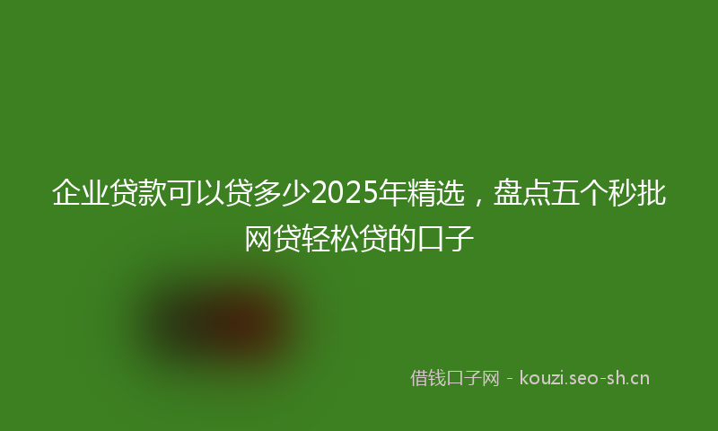 企业贷款可以贷多少2025年精选，盘点五个秒批网贷轻松贷的口子