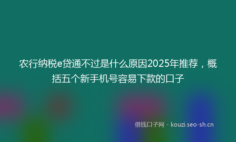 农行纳税e贷通不过是什么原因2025年推荐，概括五个新手机号容易下款的口子
