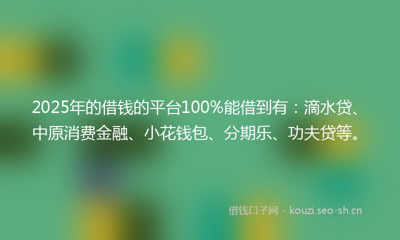 2025年的借钱的平台100%能借到有:滴水贷、中原消费金融、小花钱包、分期乐、功夫贷等。