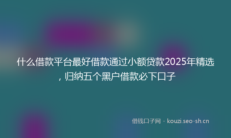 什么借款平台最好借款通过小额贷款2025年精选，归纳五个黑户借款必下口子