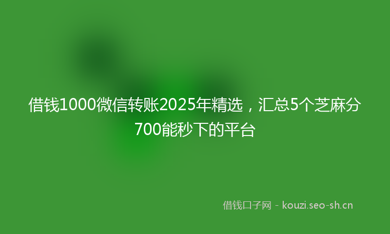 借钱1000微信转账2025年精选,汇总5个芝麻分700能秒下的平台